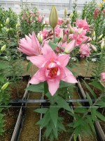 [5635 VH65 No01.JPG]